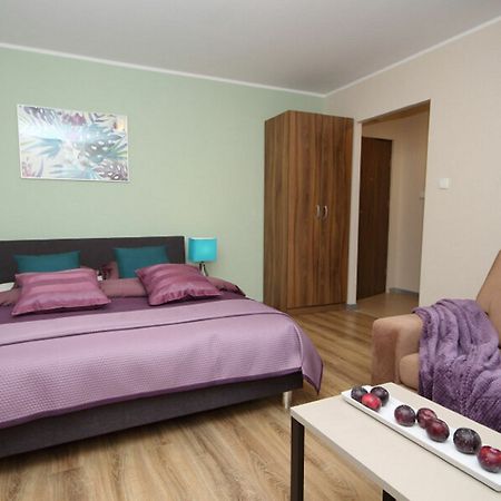 Absynt Apart Wierzbowa Wroclaw Luaran gambar